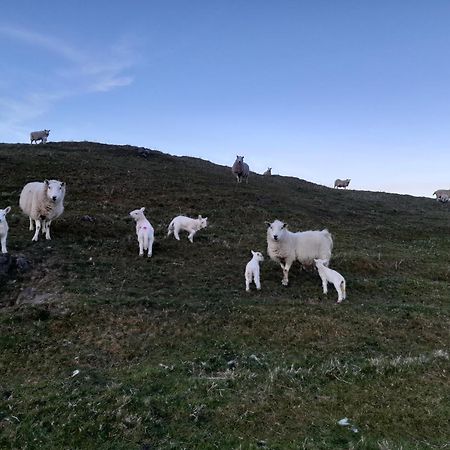Skye Stays Staffin Eksteriør bilde